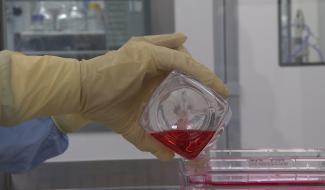 Seneffe : le Cefochim par temps de Covid