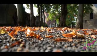 Vidéo : il était une fois, un jour de mars 2020