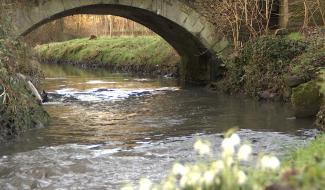 Ecaussinnes : dépollution de la Sennette 