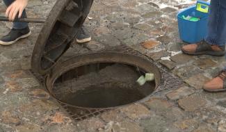 Binche : la campagne de dératisation a débuté 