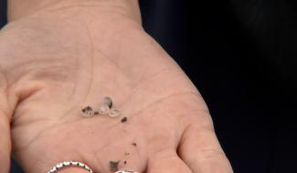 Pollution à Ecaussinnes : les permis des exploitants modifiés