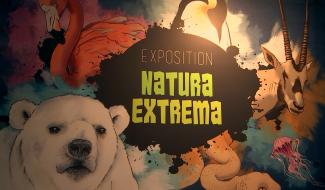 Manage : une expo qui fait réfléchir