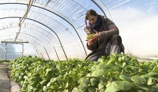 Braine-le-Comte : le circuit court ne connaît pas la crise