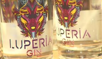 Luperia, un gin 100% louviérois