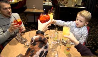 Décrocher la lune : bilan positif pour l'Horeca 