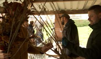 Ecaussinnes : journée de l'arbre et de la biodiversité 