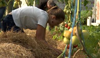 Ecaussinnes : un potager, deux apprentissages 