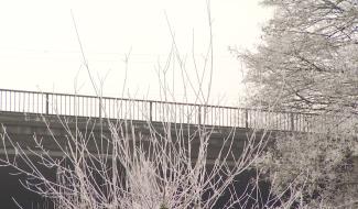 Manage : un mur anti-bruit se fait attendre 