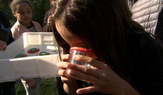 Manage : des classes nature pour les enfants 