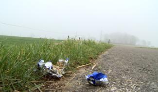 Braine-le-Comte : les canettes, un danger pour les vaches