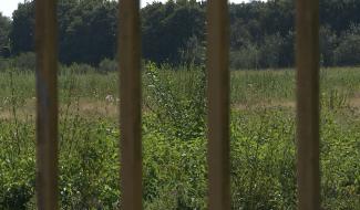 Manage : une RIP pour le projet de centrale thermique