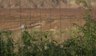 Manage : un avenir pour le site CODAMI