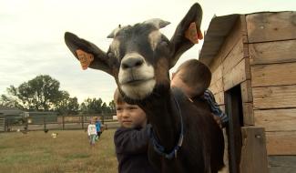 Horrues : un stage au plus près des animaux 