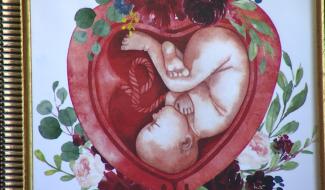 Le Roeulx : des doulas au chevet des mamans  