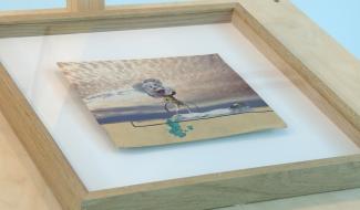 Silence en coulisse : Une artiste louviéroise au musée des Beaux-Arts de Mons.