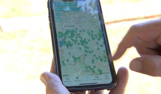 Wallywood : l'application pour découvrir la Wallonie à travers le cinéma