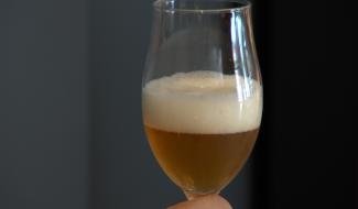 Hainaut : un concours des meilleures bières