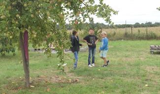 Buvrinnes : une école alternative
