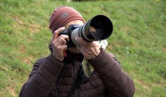 Braine-Le-Comte : à la recherche des moineaux domestiques