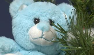 Soignies : baby boom à la maternité