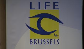 Attentats de Bruxelles : les victimes face au procès