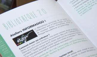 Les bibliothèques louviéroises continuent leurs activités