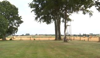 Un rêve prendra bientôt la forme d'une cabane dans les arbres à Naast
