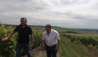 Le champagne: toute une histoire que nous raconte Gobillard