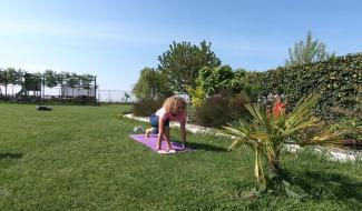 Les professeurs de gymnastique en pleine forme donnent des cours par internet