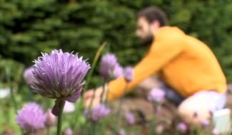 Quand le jeune citoyen aborde la vie active avant de se lancer dans une profession