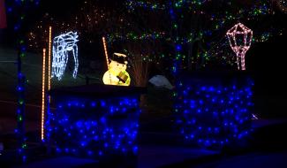 Vingt mille leds! Quand on aime Noël ...