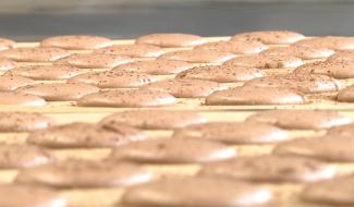 La passion de la pâtisserie mène à une belle reconversion pour Michel à Saint-Vaast