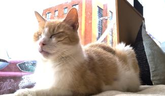  Horeca et famille d'accueil SPA en difficulté à La Louvière