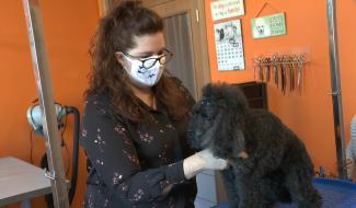 Les toiletteurs sont aussi tenus de fermer leurs salons