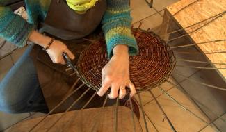 Oser l'osier à Ecaussinnes