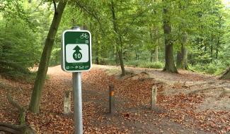 Une application wallonne pour les promenades