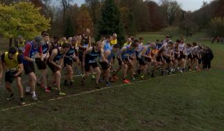 Cross : afflux d'athlètes au domaine de La Louve 