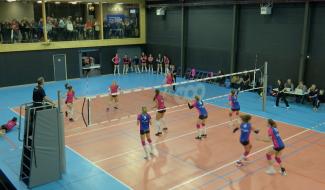 VOLLEY-BALL : Bras de fer entre Tchalou et la Fédération