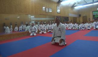 Sports de contact :quelles perspectives pendant la crise sanitaire ?