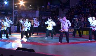 Mons : Festival des arts martiaux