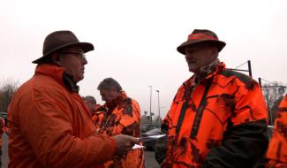 Braine-le-Comte : la chasse aux sangliers