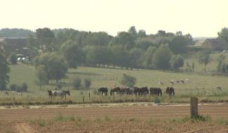 Louvignies  le village défend sa ruralité