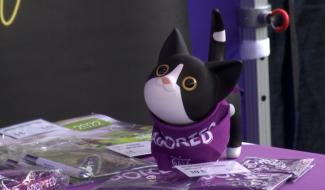 Braine-le-Comte : les chats doivent être stérilisés