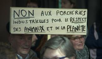 Braine-le-Comte : "l'usine à cochons" à l'ordre du jour du conseil communal