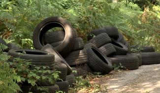 Braine-le-Comte : des centaines de pneus dans la nature
