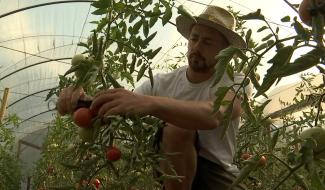 Ecaussinnes : les clients moins intéressés par le circuit court que pendant le confinement 