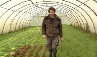 Neufvilles : des mesures pour soutenir le maraîchage