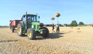 Steenkerque : quand les ballots se montent à la fourche 