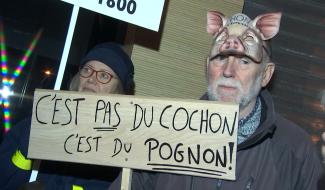 Braine-le-Comte : le Collège dit non à la porcherie industrielle