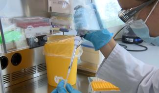 Seneffe : fin du contrat AstraZeneca et pertes d'emplois